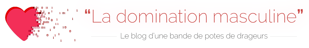 Ladominationmasculine.fr